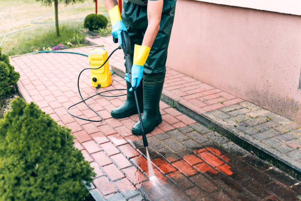 Best Animal Enclosure Cleaning  in Davie, FL