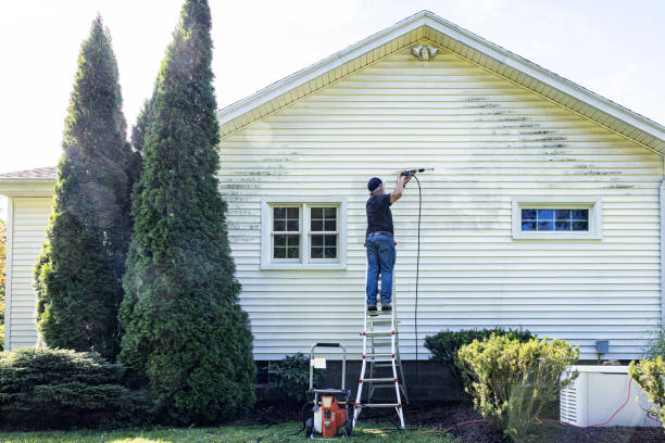 Best Sidewalk and Walkway Cleaning  in Davie, FL
