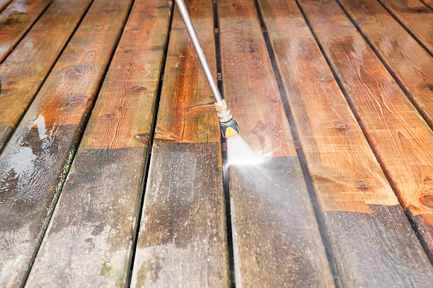 Best Solar Panel Cleaning  in Davie, FL