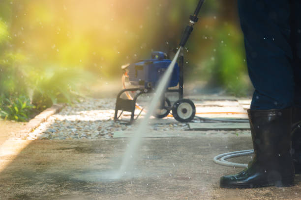 Best Fence Cleaning  in Davie, FL